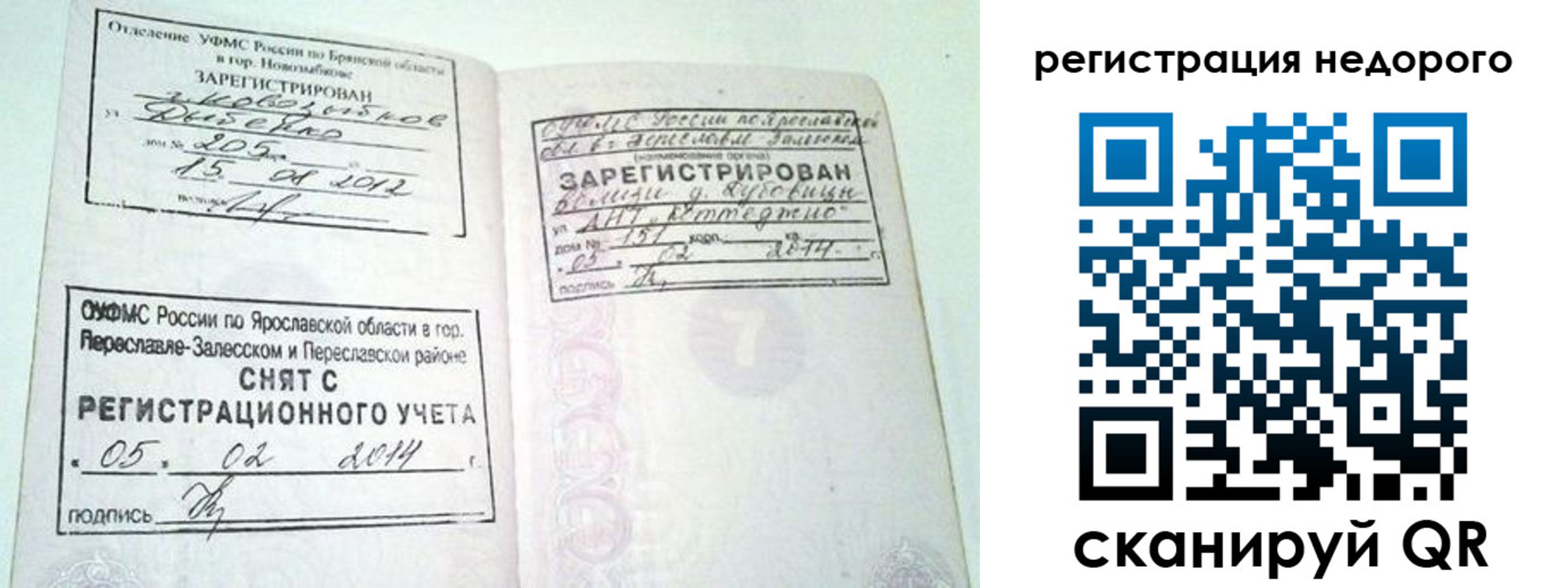 временная регистрация гарантия в Курской области
