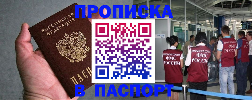 прописка в квартире в Курской области